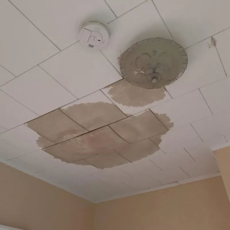 Ceiling Water Damage Repair in Monroe, OH