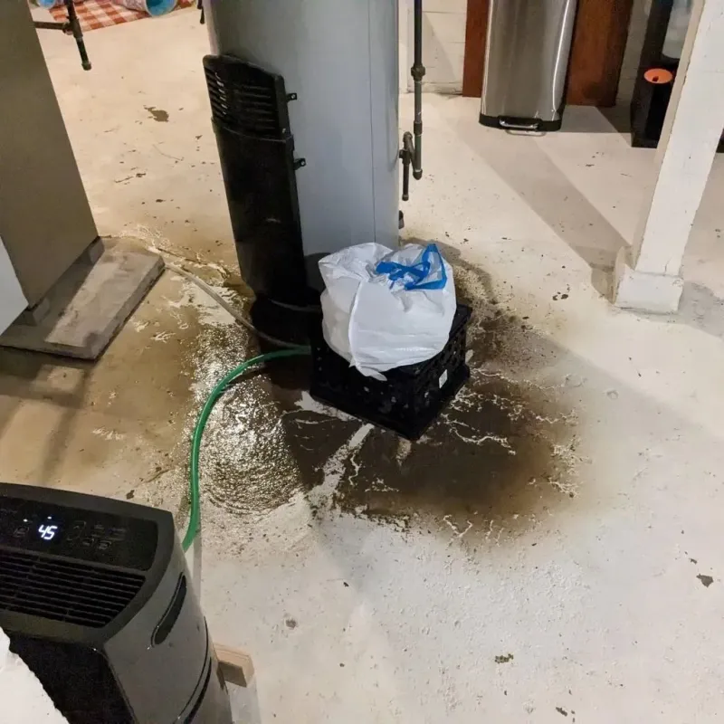 Sewage Backup Cleanup Service in Monroe, OH
